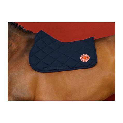 tapis d'équitation hermes|equipement équitation hermes.